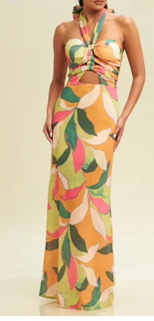 Dana Halter Maxi Dress