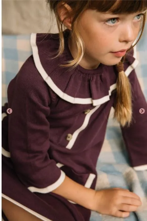 Philippa Prune Knit Dress