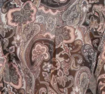 Smocked Long Sleeve Sheer Top